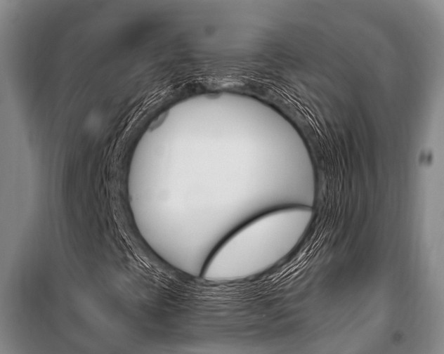 X0000101211393200806270842