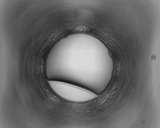 X0000101211394200806270842