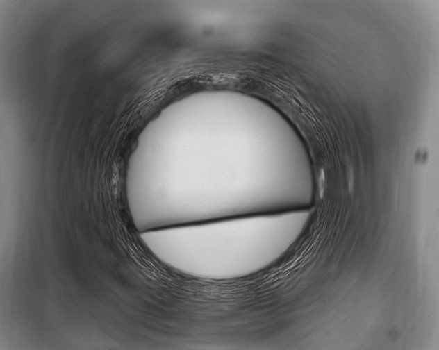 X0000101211395200806270842