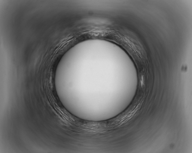 X0000101211396200806270842