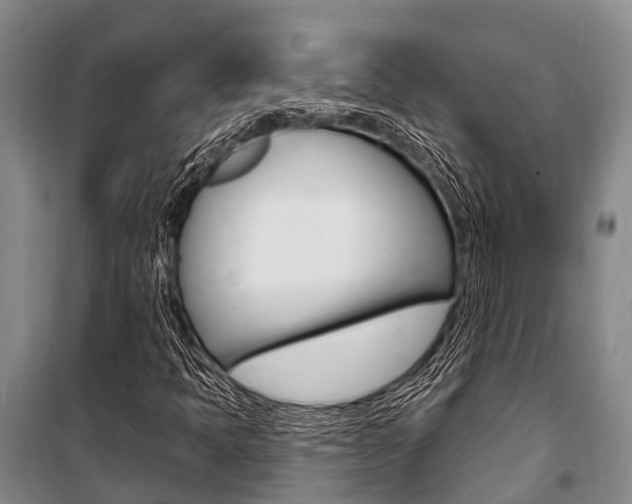 X0000101211397200806270842
