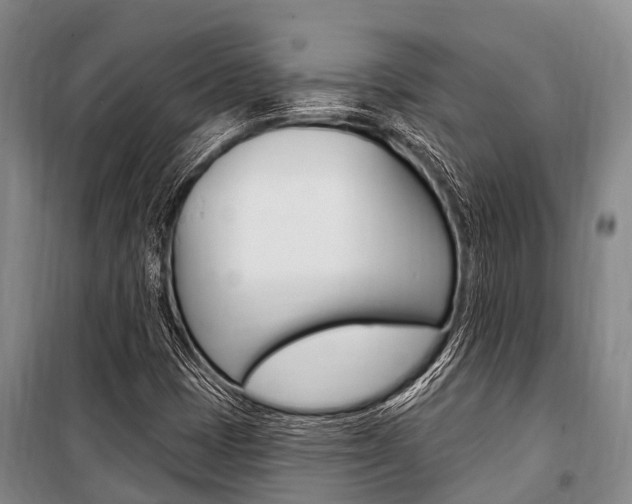 X0000101211401200806270842
