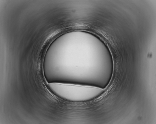 X0000101211402200806270842