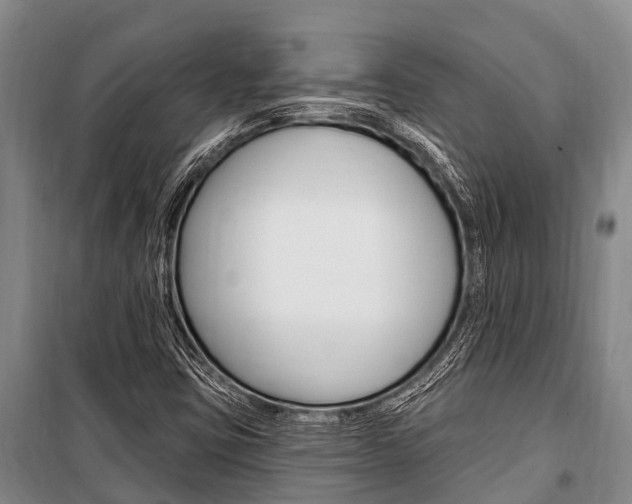 X0000101211403200806270842