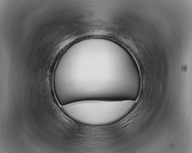 X0000101211404200806270842