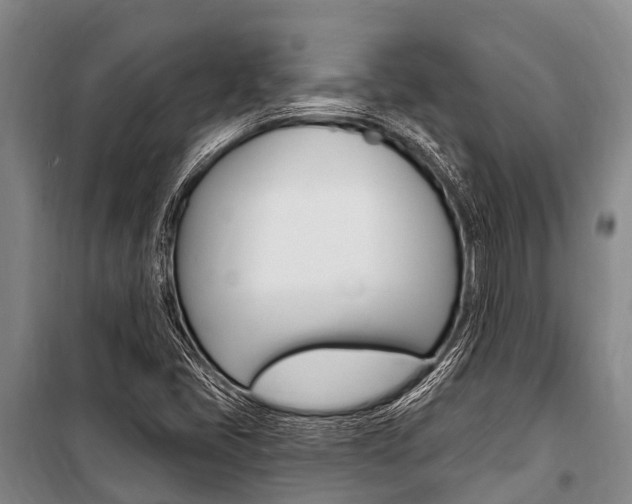 X0000101211405200806270842