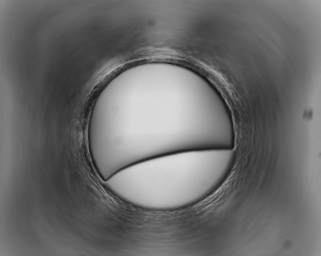 X0000101211407200806270842