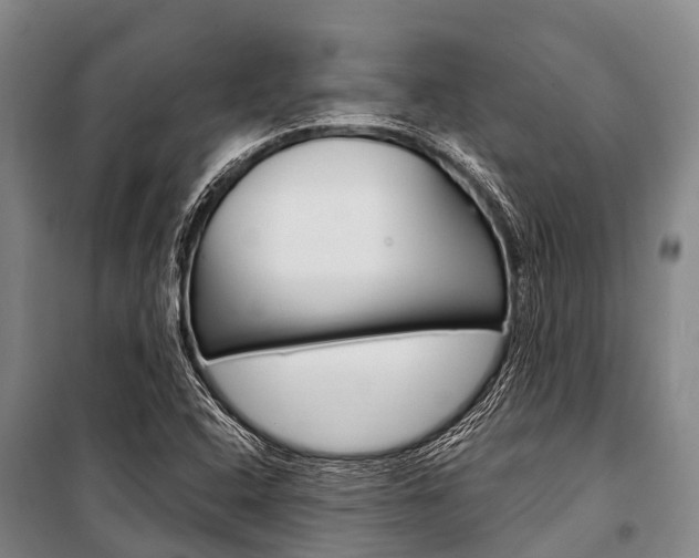 X0000101211408200806270842