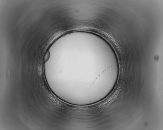 X0000101211409200806270842
