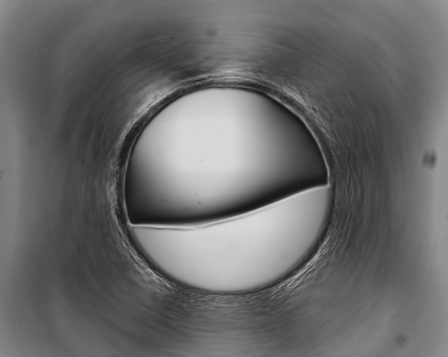 X0000101211410200806270842