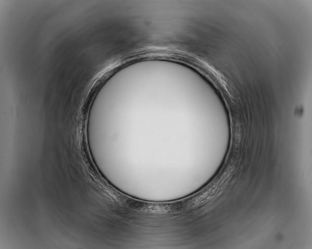 X0000101211411200806270842