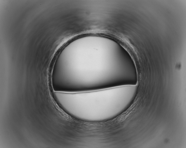 X0000101211412200806270842