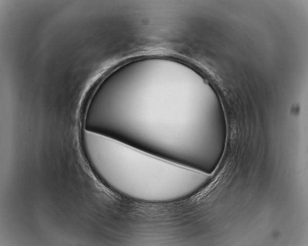 X0000101211414200806270842