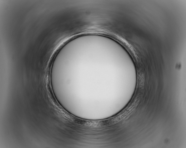 X0000101211415200806270842