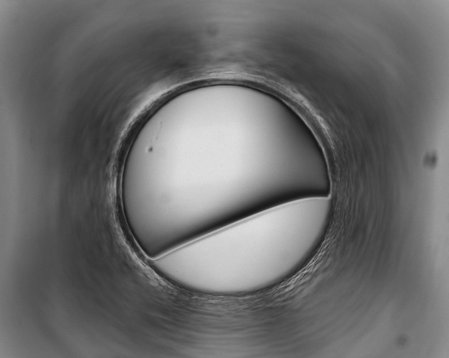 X0000101211416200806270843
