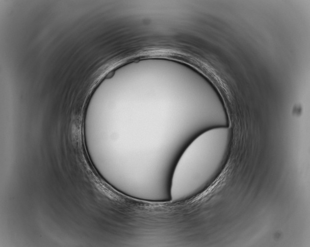 X0000101211417200806270843