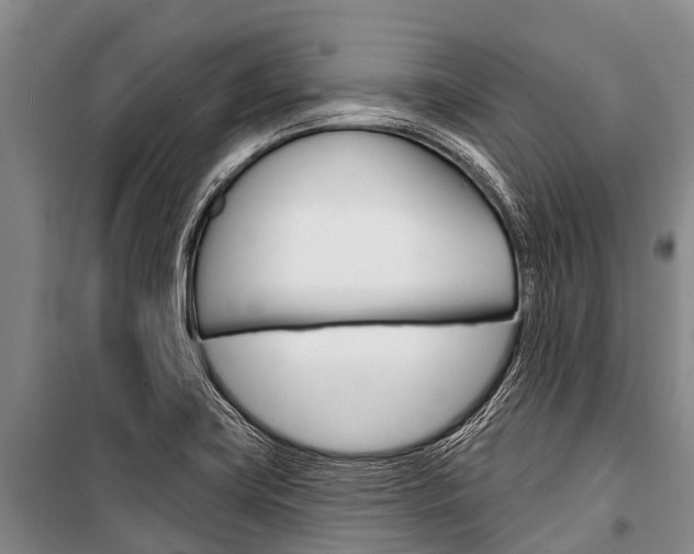 X0000101211419200806270843