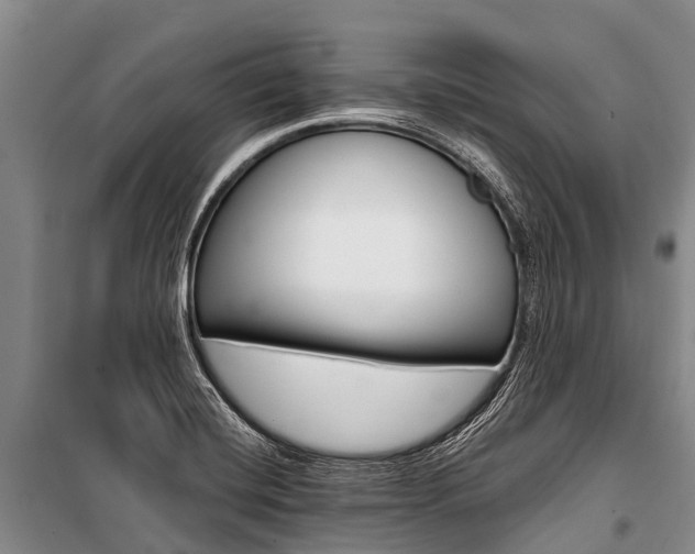 X0000101211420200806270843