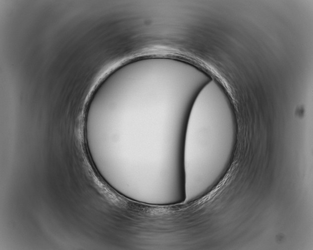 X0000101211421200806270843
