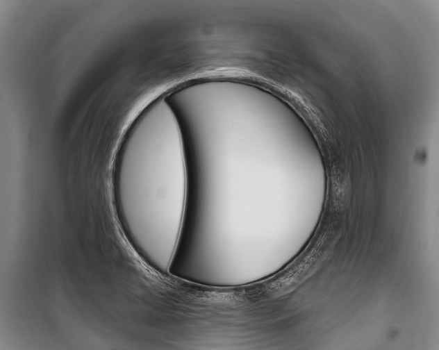 X0000101211422200806270843