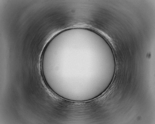 X0000101211423200806270843