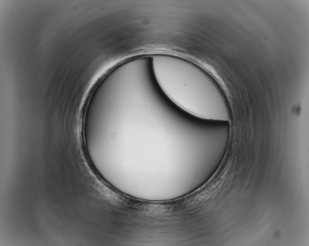 X0000101211424200806270843