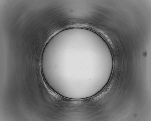 X0000101211425200806270843