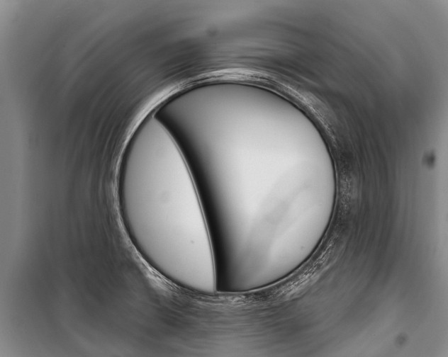 X0000101211426200806270843