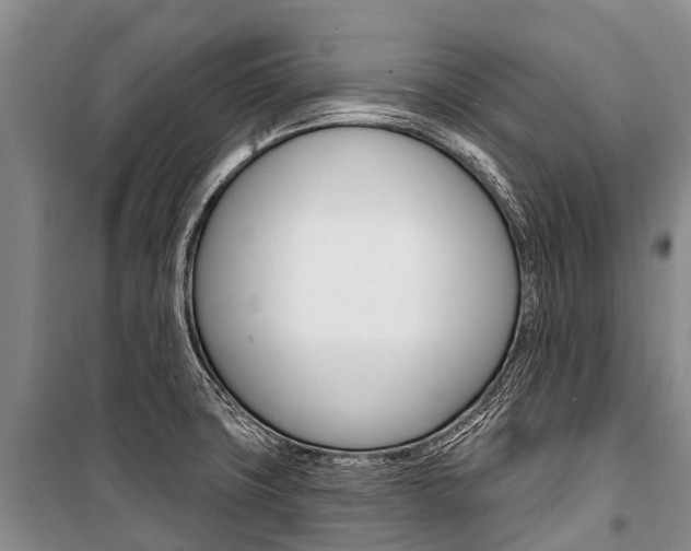 X0000101211427200806270843