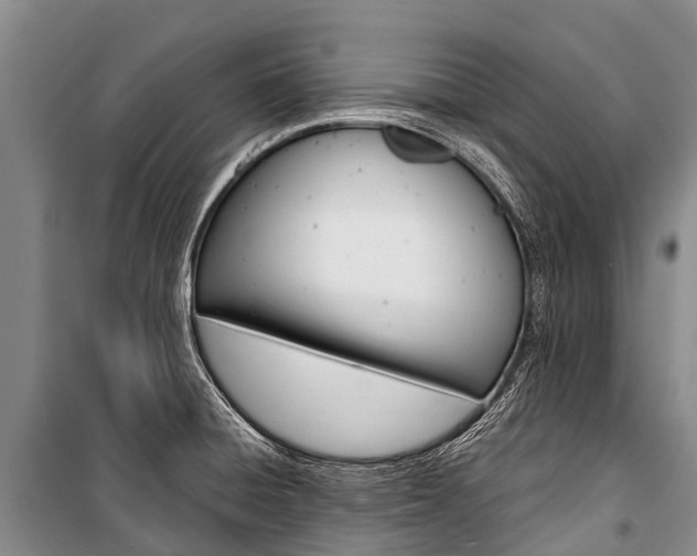 X0000101211428200806270843