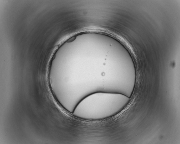 X0000101211429200806270843