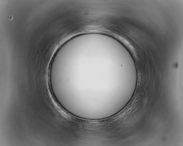 X0000101211431200806270843