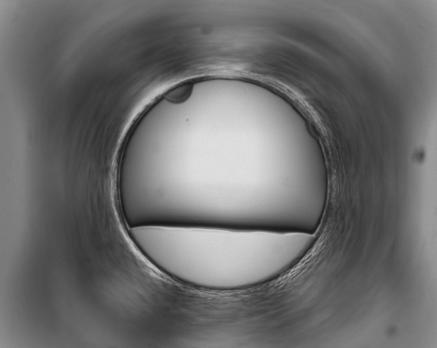 X0000101211432200806270843
