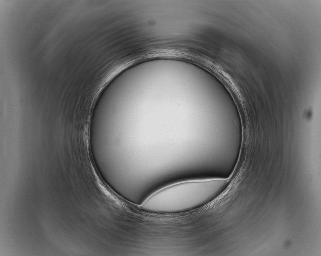 X0000101211433200806270843