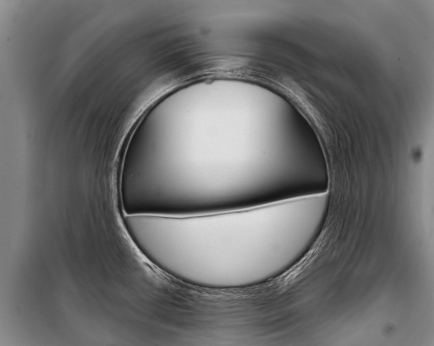X0000101211434200806270843