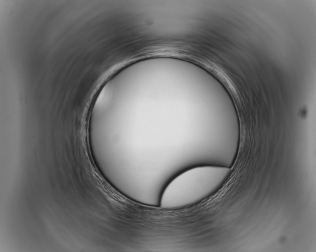 X0000101211435200806270843