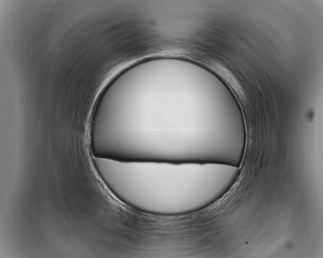 X0000101211436200806270843