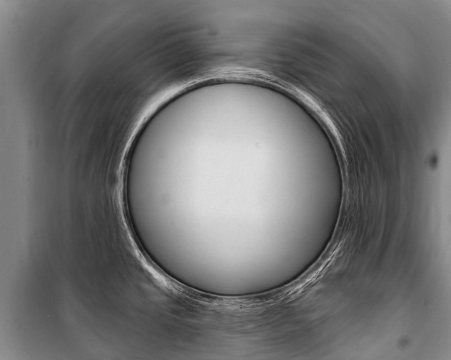 X0000101211437200806270843