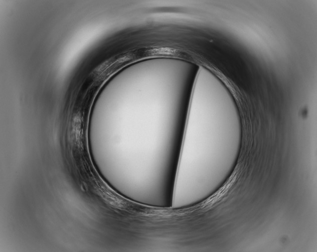 X0000101211438200806270843