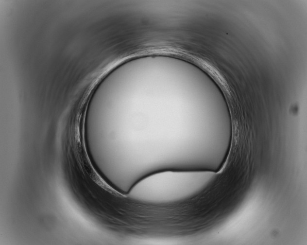 X0000101211439200806270843