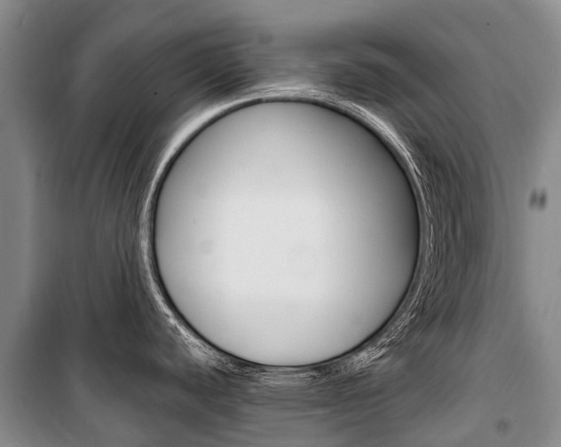 X0000101211440200806270843
