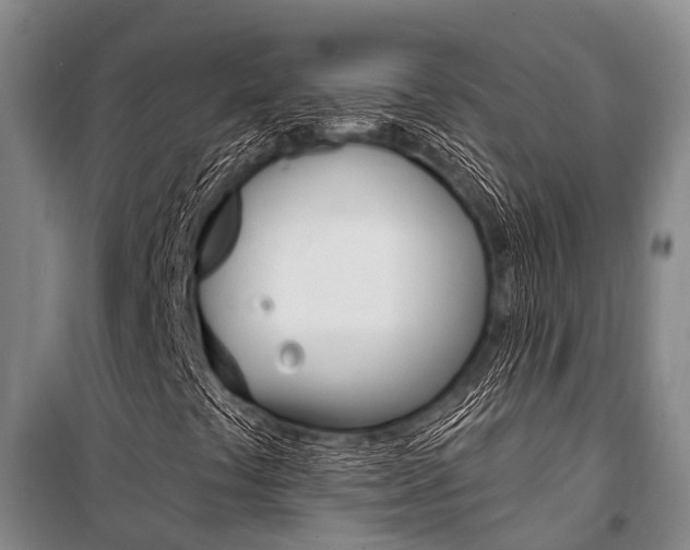 X0000101211441200806270842