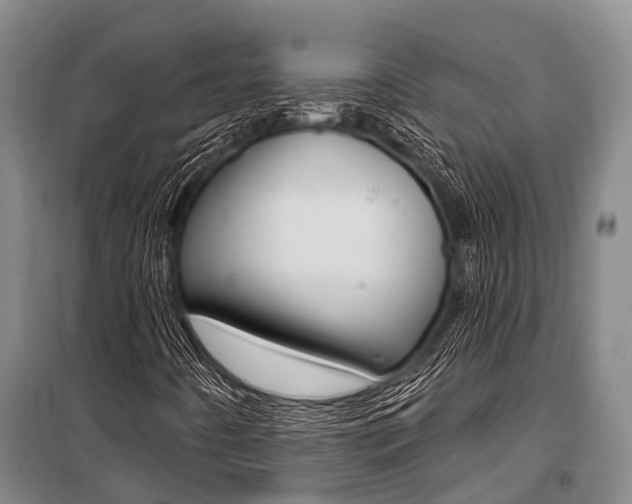 X0000101211442200806270842