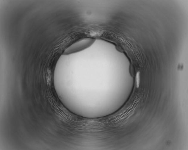 X0000101211443200806270842