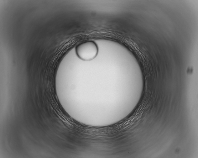 X0000101211444200806270842