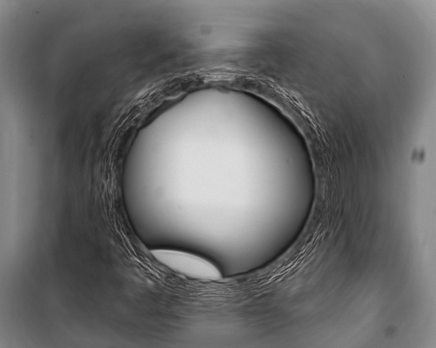 X0000101211445200806270842