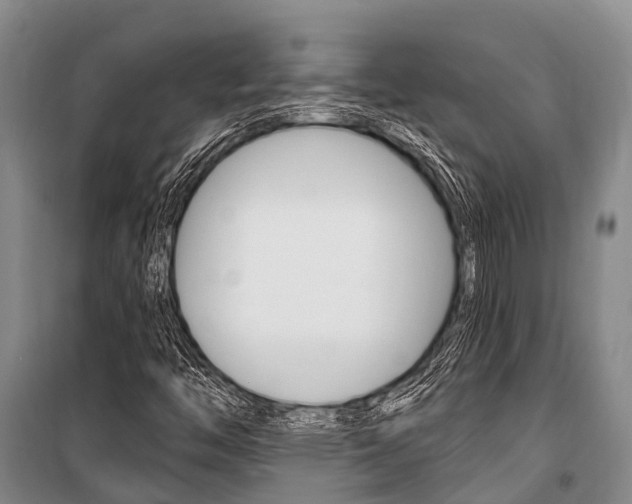 X0000101211446200806270842