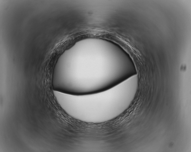 X0000101211447200806270842