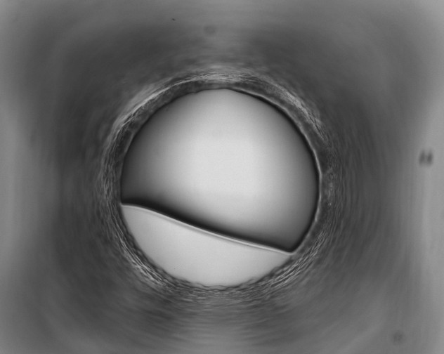 X0000101211448200806270842