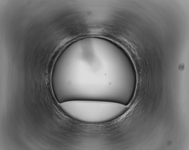 X0000101211449200806270842